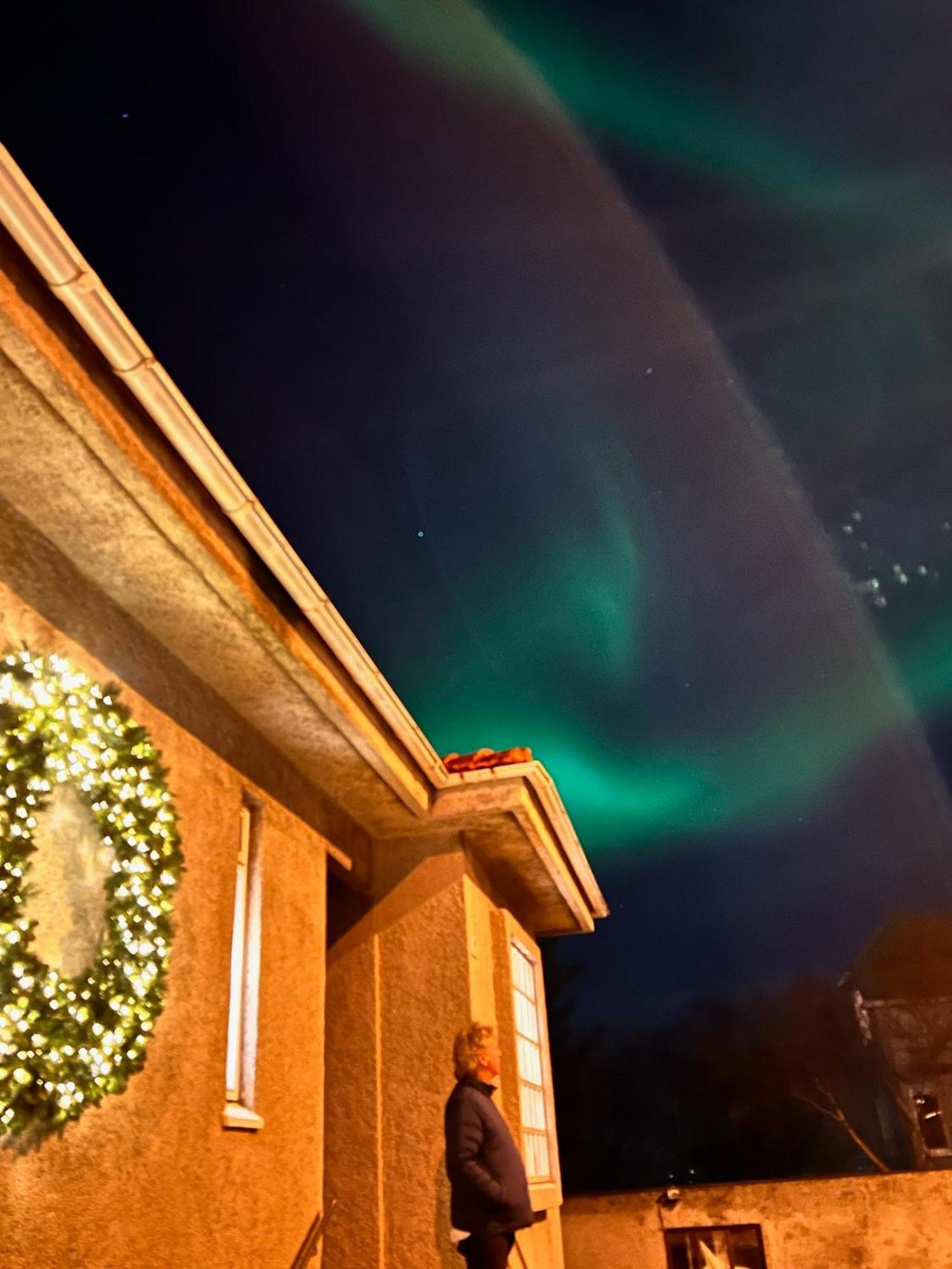 Casa Disa - Dreams, A Boutique Guesthouse In Reykjavik City'S Central Park And Botanical Garden In Laugardalur, Hot-Spring-Valley ภายนอก รูปภาพ
