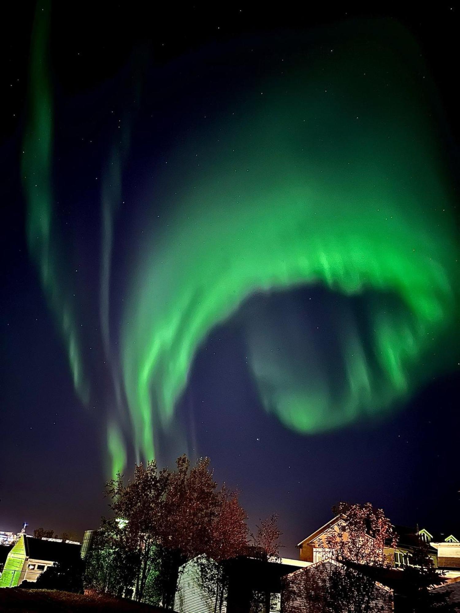 Casa Disa - Dreams, A Boutique Guesthouse In Reykjavik City'S Central Park And Botanical Garden In Laugardalur, Hot-Spring-Valley ภายนอก รูปภาพ