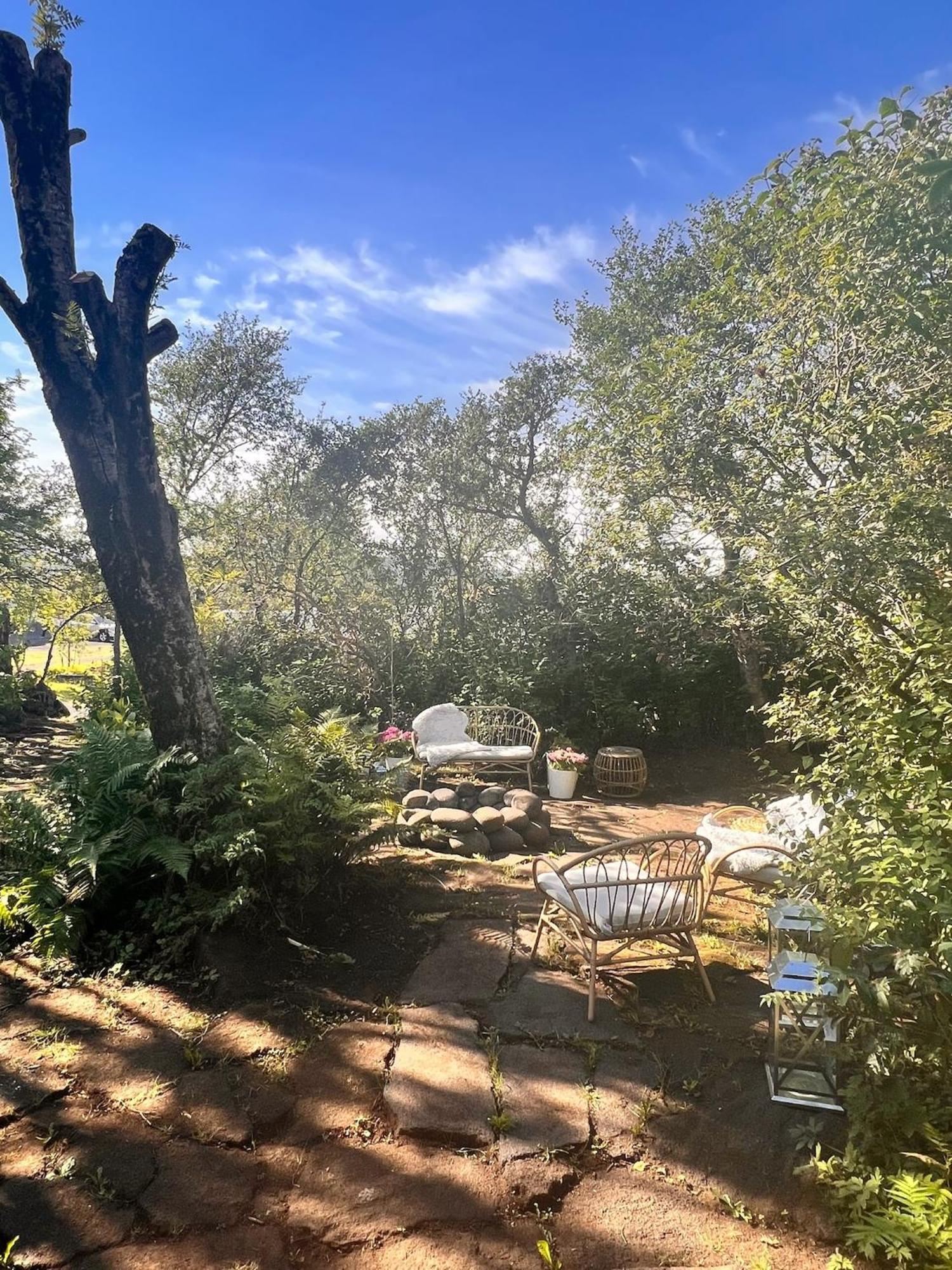 Casa Disa - Dreams, A Boutique Guesthouse In Reykjavik City'S Central Park And Botanical Garden In Laugardalur, Hot-Spring-Valley ภายนอก รูปภาพ