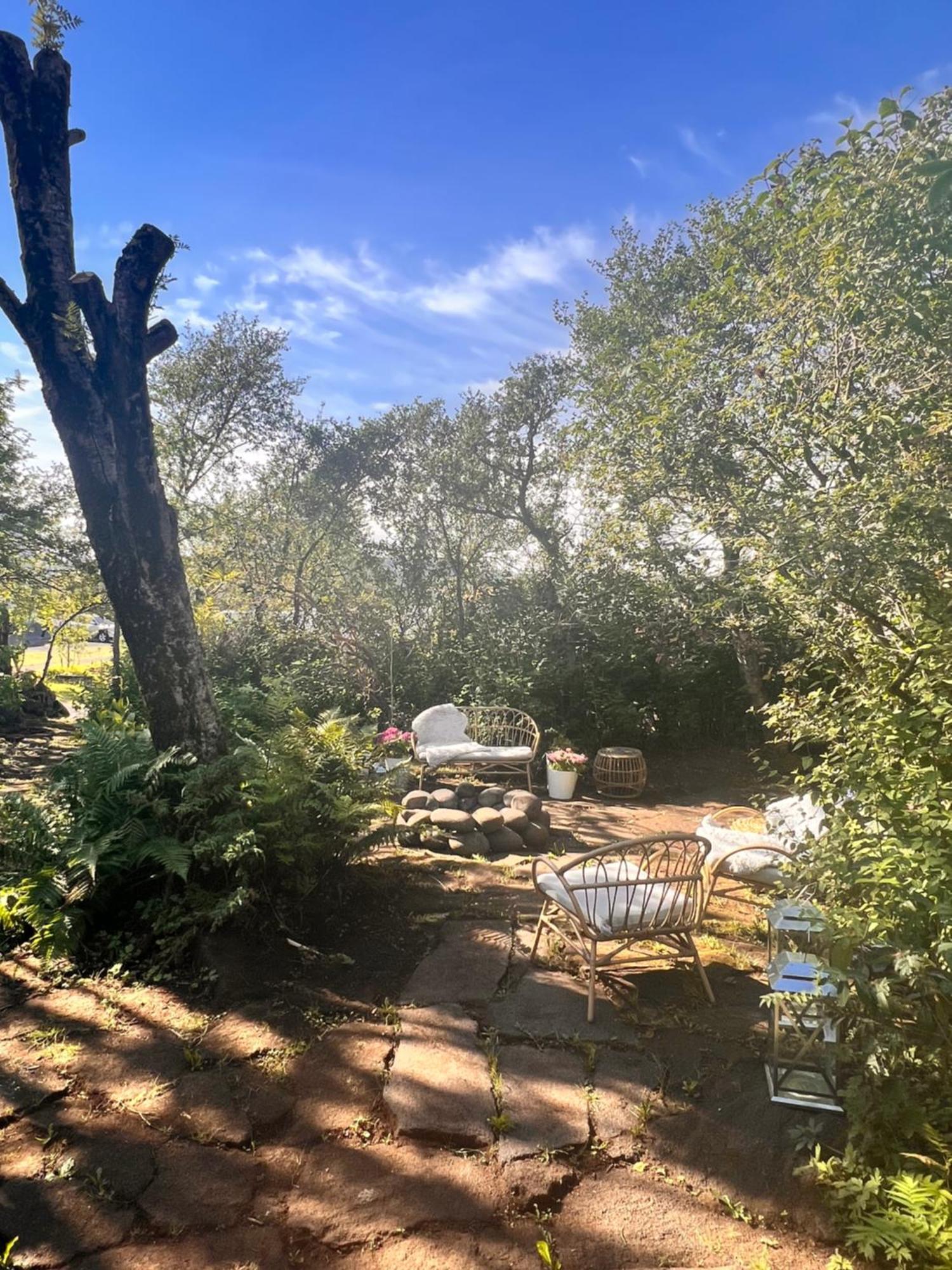 Casa Disa - Dreams, A Boutique Guesthouse In Reykjavik City'S Central Park And Botanical Garden In Laugardalur, Hot-Spring-Valley ภายนอก รูปภาพ